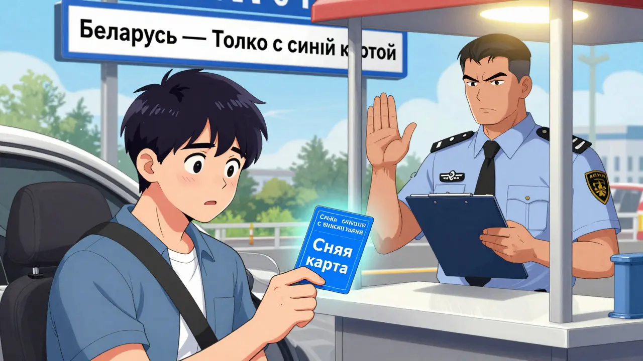 Зеленая карта для выезда за границу: где купить и когда нужна в 2026 году